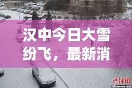 漢中今日大雪紛飛，最新消息視頻直擊現場