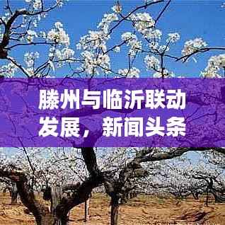 滕州與臨沂聯(lián)動(dòng)發(fā)展，新聞?lì)^條下的區(qū)域合作新篇章