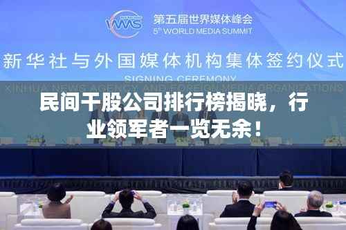 民間干股公司排行榜揭曉，行業領軍者一覽無余！