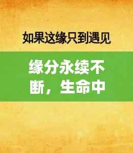 緣分永續不斷，生命中的奇妙相遇與心靈連結