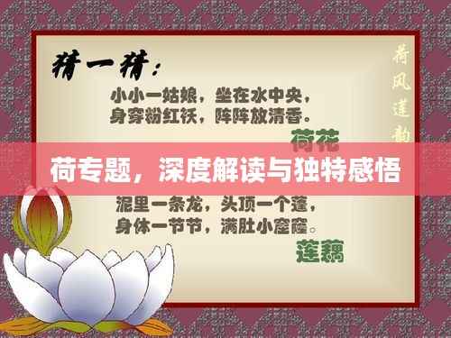 荷專題，深度解讀與獨特感悟