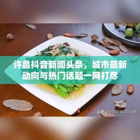 許昌抖音新聞頭條，城市最新動向與熱門話題一網打盡