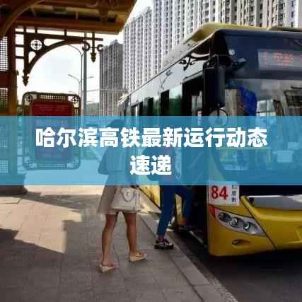 哈爾濱高鐵最新運行動態速遞