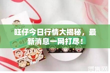 旺仔今日行情大揭秘，最新消息一網打盡！